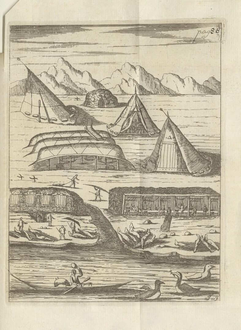 Ilustración de 1741 en la que se puede apreciar en la parte inferior un pescador arponeando  alcas gigantes. Dominio público.